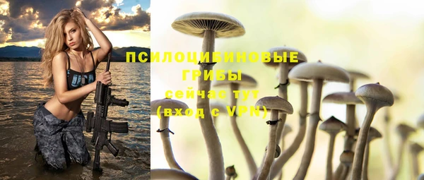 стафф Вяземский